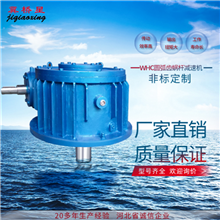 圓弧齒減速機(jī)-軸裝式蝸輪減速機(jī)-WH蝸輪減速機(jī)型號選型