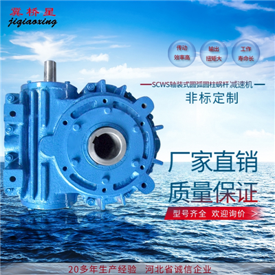 SCWS減速機(jī)-軸裝式減速機(jī)安裝尺寸圖片-SCW軸裝式圓弧圓柱蝸桿減速機(jī)
