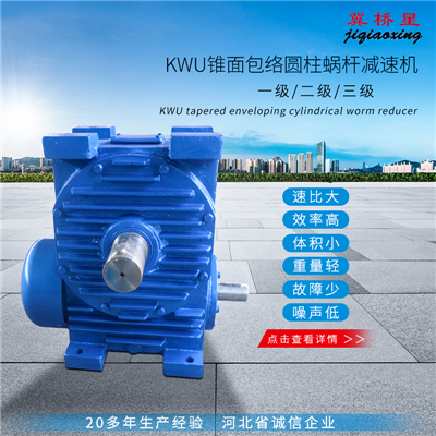 錐面包絡(luò)蝸桿減速機(jī)-KW系列錐面包絡(luò)蝸桿減速機(jī)