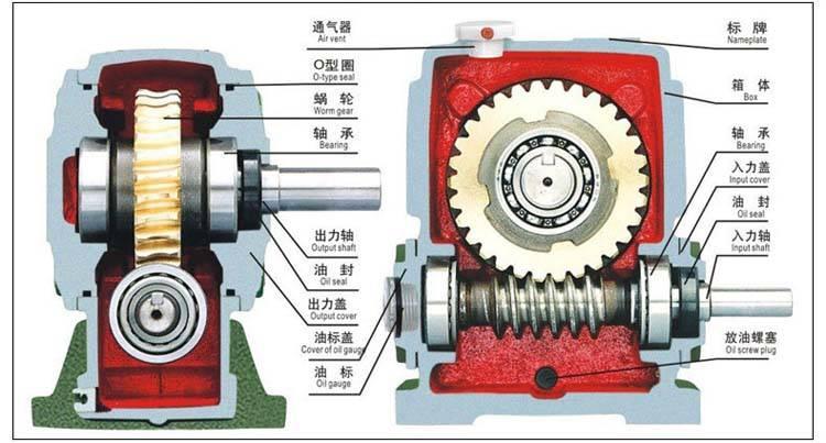 蝸輪蝸桿減速機結構圖
